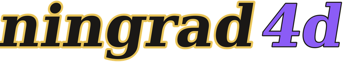 ningrad4d logo